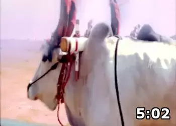 Video Screenshot of Chandramukhi